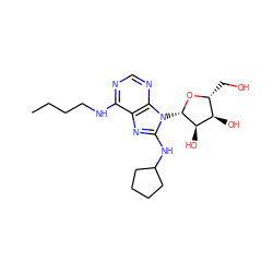 CCCCNc1ncnc2c1nc(NC1CCCC1)n2[C@@H]1O[C@H](CO)[C@@H](O)[C@H]1O ZINC000013755468