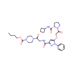 CCCCOC(=O)N1CCN(C(=O)CNC(=O)c2cc(OCC(=O)N3CCC[C@H]3C(=O)NC3CCC3)n(-c3ccccc3)n2)CC1 ZINC000095554894