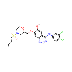 CCCCS(=O)(=O)N1CCO[C@@H](COc2cc3ncnc(Nc4ccc(Cl)c(Cl)c4)c3cc2OC)C1 ZINC000114820727