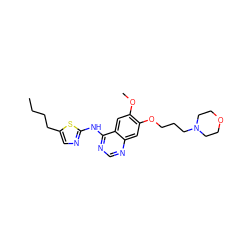 CCCCc1cnc(Nc2ncnc3cc(OCCCN4CCOCC4)c(OC)cc23)s1 ZINC000013680345