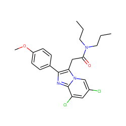 CCCN(CCC)C(=O)Cc1c(-c2ccc(OC)cc2)nc2c(Cl)cc(Cl)cn12 ZINC000040380588