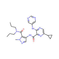 CCCN(CCC)C(=O)c1c(NC(=O)c2nc(C3CC3)cnc2Nc2cncnc2)cnn1C ZINC000169701843