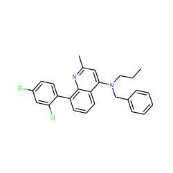 CCCN(Cc1ccccc1)c1cc(C)nc2c(-c3ccc(Cl)cc3Cl)cccc12 ZINC000013553461