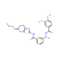 CCCN[C@H]1CCc2nc(NC(=O)c3cccc([C@@H](C)NC(=O)c4ccc(OC)c(OC)c4)c3)sc2C1 ZINC000113564617