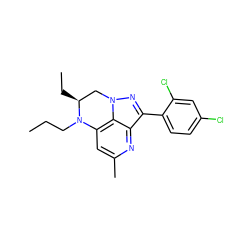 CCCN1c2cc(C)nc3c(-c4ccc(Cl)cc4Cl)nn(c23)C[C@@H]1CC ZINC000013672705