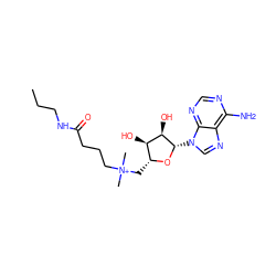 CCCNC(=O)CCC[N+](C)(C)C[C@H]1O[C@@H](n2cnc3c(N)ncnc32)[C@H](O)[C@@H]1O ZINC000059100174