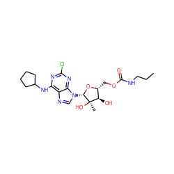 CCCNC(=O)OC[C@H]1O[C@@H](n2cnc3c(NC4CCCC4)nc(Cl)nc32)[C@](C)(O)[C@@H]1O ZINC000029040293