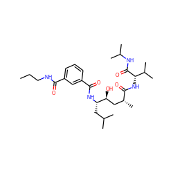 CCCNC(=O)c1cccc(C(=O)N[C@@H](CC(C)C)[C@@H](O)C[C@@H](C)C(=O)N[C@H](C(=O)NC(C)C)C(C)C)c1 ZINC000010339585
