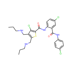 CCCNCc1sc(C(=O)Nc2ccc(Cl)cc2C(=O)Nc2ccc(Cl)cc2)c(Cl)c1CNCCC ZINC000014963685