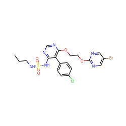 CCCNS(=O)(=O)Nc1ncnc(OCCOc2ncc(Br)cn2)c1-c1ccc(Cl)cc1 ZINC000095556431