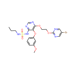 CCCNS(=O)(=O)Nc1ncnc(OCCOc2ncc(Br)cn2)c1Oc1cccc(OC)c1 ZINC000095552472