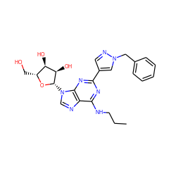 CCCNc1nc(-c2cnn(Cc3ccccc3)c2)nc2c1ncn2[C@@H]1O[C@H](CO)[C@@H](O)[C@H]1O ZINC000013582965