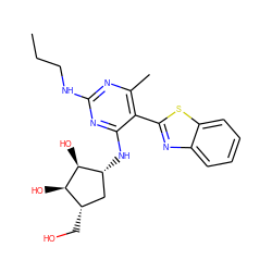 CCCNc1nc(C)c(-c2nc3ccccc3s2)c(N[C@@H]2C[C@H](CO)[C@@H](O)[C@H]2O)n1 ZINC000084619197