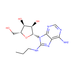 CCCNc1nc2c(N)ncnc2n1[C@@H]1O[C@H](CO)[C@@H](O)[C@H]1O ZINC000013755471