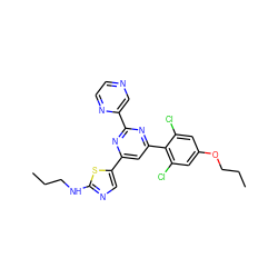 CCCNc1ncc(-c2cc(-c3c(Cl)cc(OCCC)cc3Cl)nc(-c3cnccn3)n2)s1 ZINC000084690517