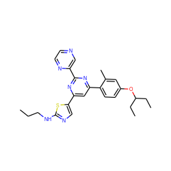 CCCNc1ncc(-c2cc(-c3ccc(OC(CC)CC)cc3C)nc(-c3cnccn3)n2)s1 ZINC000084690802