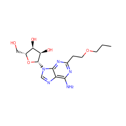 CCCOCCc1nc(N)c2ncn([C@@H]3O[C@H](CO)[C@@H](O)[C@H]3O)c2n1 ZINC000013861864