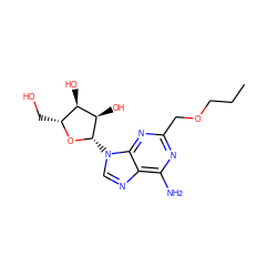 CCCOCc1nc(N)c2ncn([C@@H]3O[C@H](CO)[C@@H](O)[C@H]3O)c2n1 ZINC000013861863