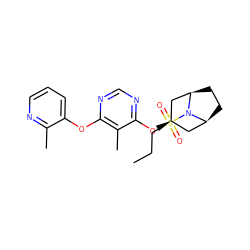 CCCS(=O)(=O)N1[C@H]2CC[C@@H]1C[C@H](Oc1ncnc(Oc3cccnc3C)c1C)C2 ZINC000103230642