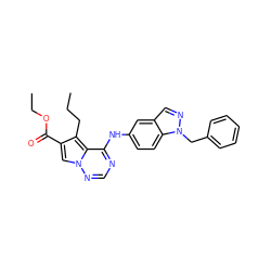 CCCc1c(C(=O)OCC)cn2ncnc(Nc3ccc4c(cnn4Cc4ccccc4)c3)c12 ZINC000014954052