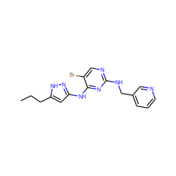 CCCc1cc(Nc2nc(NCc3cccnc3)ncc2Br)n[nH]1 ZINC000084730690