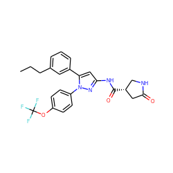 CCCc1cccc(-c2cc(NC(=O)[C@@H]3CNC(=O)C3)nn2-c2ccc(OC(F)(F)F)cc2)c1 ZINC000169707308