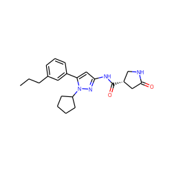 CCCc1cccc(-c2cc(NC(=O)[C@@H]3CNC(=O)C3)nn2C2CCCC2)c1 ZINC000169707009