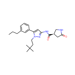 CCCc1cccc(-c2cc(NC(=O)[C@H]3CNC(=O)C3)nn2CCC(C)(C)C)c1 ZINC000169707073