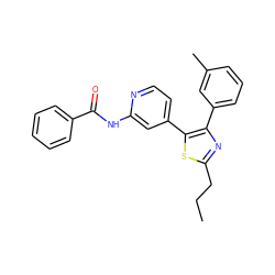 CCCc1nc(-c2cccc(C)c2)c(-c2ccnc(NC(=O)c3ccccc3)c2)s1 ZINC000013673416