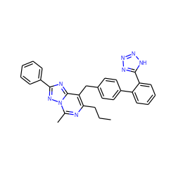 CCCc1nc(C)n2nc(-c3ccccc3)nc2c1Cc1ccc(-c2ccccc2-c2nnn[nH]2)cc1 ZINC000013737994