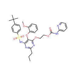 CCCc1nc(NS(=O)(=O)c2ccc(C(C)(C)C)cc2)c(Oc2ccccc2OC)c(OCCOC(=O)Nc2ccccn2)n1 ZINC000026289759