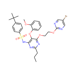 CCCc1nc(NS(=O)(=O)c2ccc(C(C)(C)C)cc2)c(Oc2ccccc2OC)c(OCCOc2ncc(Br)cn2)n1 ZINC000027901455