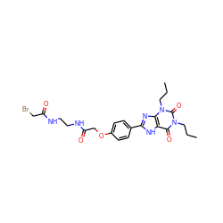 CCCn1c(=O)c2[nH]c(-c3ccc(OCC(=O)NCCNC(=O)CBr)cc3)nc2n(CCC)c1=O ZINC000026000873