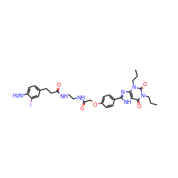 CCCn1c(=O)c2[nH]c(-c3ccc(OCC(=O)NCCNC(=O)CCc4ccc(N)c(I)c4)cc3)nc2n(CCC)c1=O ZINC000027416617