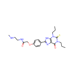 CCCn1c(=O)c2nc(-c3ccc(OCC(=O)NCCNC)cc3)[nH]c2n(CCC)c1=S ZINC000029556247