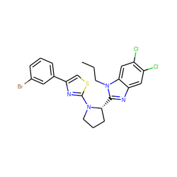 CCCn1c([C@@H]2CCCN2c2nc(-c3cccc(Br)c3)cs2)nc2cc(Cl)c(Cl)cc21 ZINC000038146606