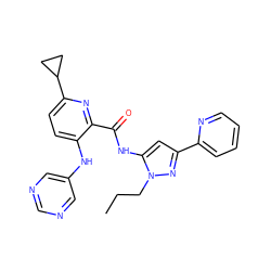 CCCn1nc(-c2ccccn2)cc1NC(=O)c1nc(C2CC2)ccc1Nc1cncnc1 ZINC000096167395