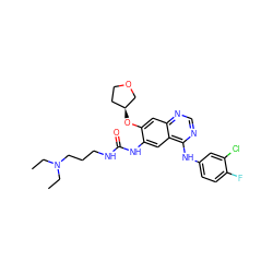 CCN(CC)CCCNC(=O)Nc1cc2c(Nc3ccc(F)c(Cl)c3)ncnc2cc1O[C@H]1CCOC1 ZINC000103253629