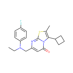 CCN(Cc1cc(=O)n2c(C3CCC3)c(C)sc2n1)c1ccc(F)cc1 ZINC000653848340