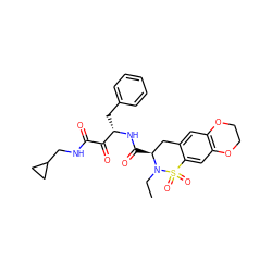 CCN1[C@@H](C(=O)N[C@@H](Cc2ccccc2)C(=O)C(=O)NCC2CC2)Cc2cc3c(cc2S1(=O)=O)OCCO3 ZINC000025986689