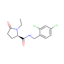 CCN1C(=O)CC[C@@H]1C(=O)NCc1ccc(Cl)cc1Cl ZINC000095565109