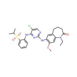 CCN1C(=O)CCCc2cc(Nc3ncc(Cl)c(Nc4ccccc4S(=O)(=O)C(C)C)n3)c(OC)cc21 ZINC000084714234