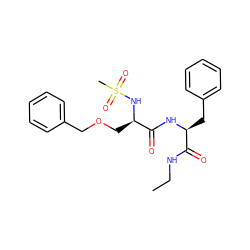 CCNC(=O)[C@H](Cc1ccccc1)NC(=O)[C@@H](COCc1ccccc1)NS(C)(=O)=O ZINC000026579086