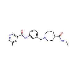 CCNC(=O)[C@H]1CCCN(Cc2cccc(NC(=O)c3cncc(C)c3)c2)CC1 ZINC001772622210