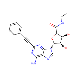 CCNC(=O)[C@H]1O[C@@H](n2cnc3c(N)nc(C#Cc4ccccc4)nc32)[C@H](O)[C@@H]1O ZINC000012405820