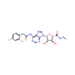 CCNC(=O)[C@H]1O[C@@H](n2cnc3c(NC(=O)Cc4ccc(Cl)cc4Cl)ncnc32)[C@H](O)[C@@H]1O ZINC000013780799