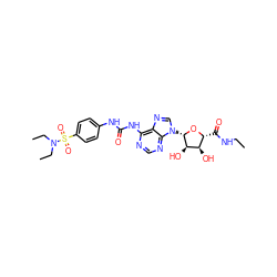 CCNC(=O)[C@H]1O[C@@H](n2cnc3c(NC(=O)Nc4ccc(S(=O)(=O)N(CC)CC)cc4)ncnc32)[C@H](O)[C@@H]1O ZINC000049792868