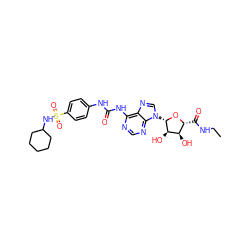 CCNC(=O)[C@H]1O[C@@H](n2cnc3c(NC(=O)Nc4ccc(S(=O)(=O)NC5CCCCC5)cc4)ncnc32)[C@H](O)[C@@H]1O ZINC000049774587