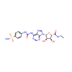 CCNC(=O)[C@H]1O[C@@H](n2cnc3c(NC(=O)Nc4ccc(S(N)(=O)=O)cc4)ncnc32)[C@H](O)[C@@H]1O ZINC000013584556