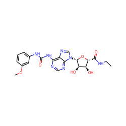 CCNC(=O)[C@H]1O[C@@H](n2cnc3c(NC(=O)Nc4cccc(OC)c4)ncnc32)[C@H](O)[C@@H]1O ZINC000012405932